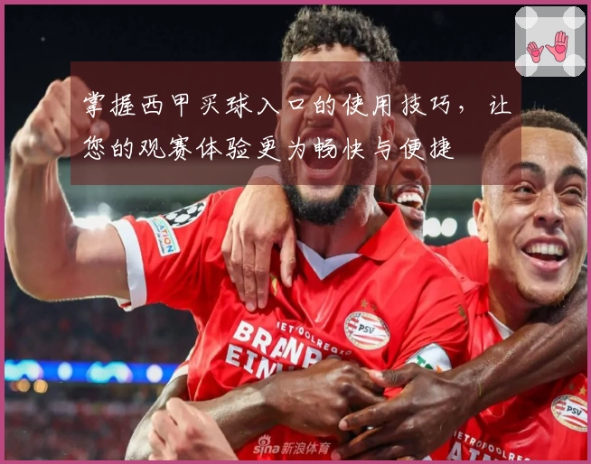 掌握西甲买球入口的使用技巧，让您的观赛体验更为畅快与便捷