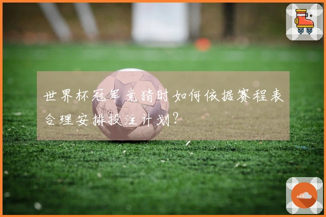 世界杯冠军竞猜时如何依据赛程表合理安排投注计划？