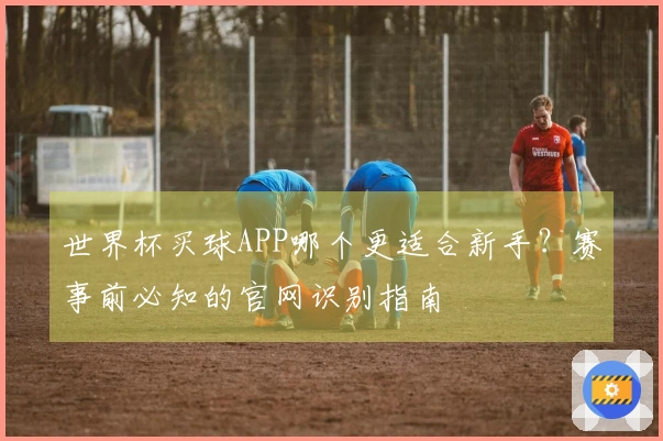 世界杯买球APP哪个更适合新手？赛事前必知的官网识别指南
