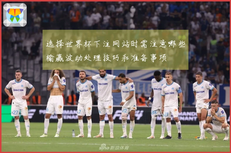 选择世界杯下注网站时需注意哪些输赢波动处理技巧和准备事项