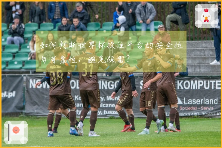 如何判断世界杯投注平台的安全性与可靠性，避免踩雷？
