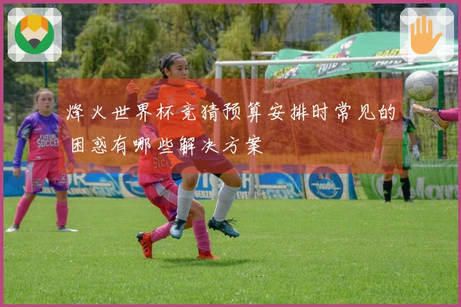 烽火世界杯竞猜预算安排时常见的困惑有哪些解决方案