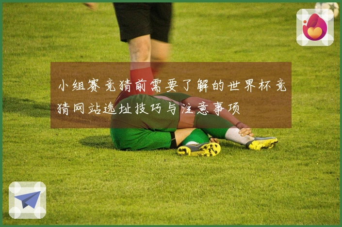 小组赛竞猜前需要了解的世界杯竞猜网站选址技巧与注意事项