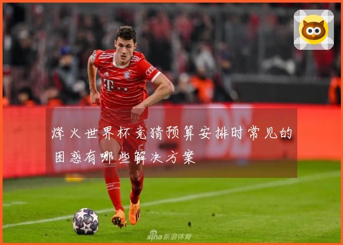 烽火世界杯竞猜预算安排时常见的困惑有哪些解决方案