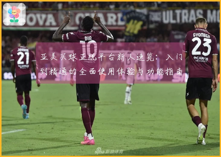 亚美买球正规平台新人速览：入门到精通的全面使用体验与功能指南