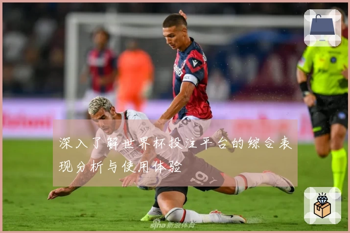 深入了解世界杯投注平台的综合表现分析与使用体验