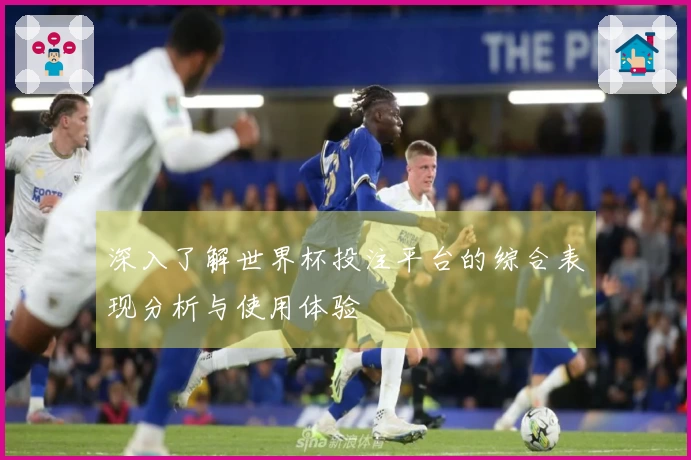 深入了解世界杯投注平台的综合表现分析与使用体验