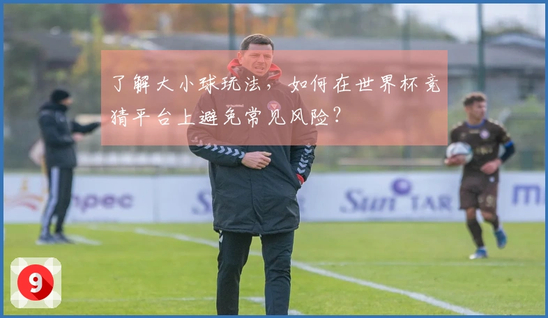 了解大小球玩法，如何在世界杯竞猜平台上避免常见风险？