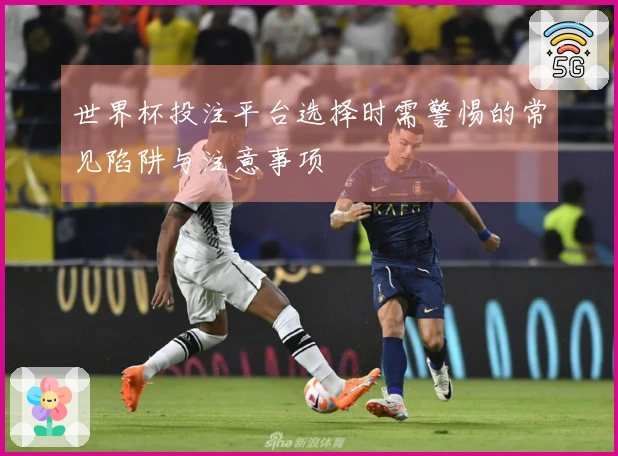 世界杯投注平台选择时需警惕的常见陷阱与注意事项