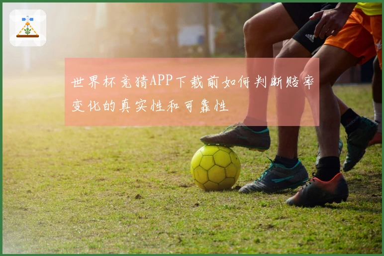世界杯竞猜APP下载前如何判断赔率变化的真实性和可靠性