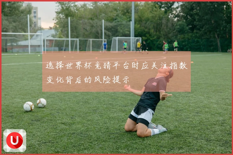 选择世界杯竞猜平台时应关注指数变化背后的风险提示