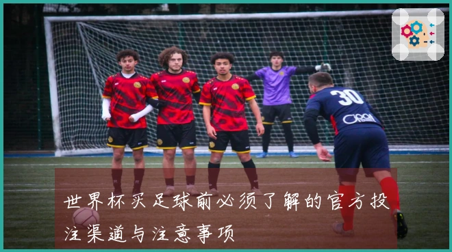 世界杯买足球前必须了解的官方投注渠道与注意事项