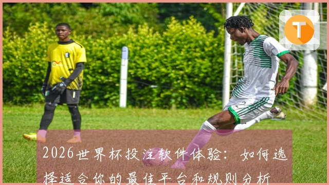 2026世界杯投注软件体验：如何选择适合你的最佳平台和规则分析