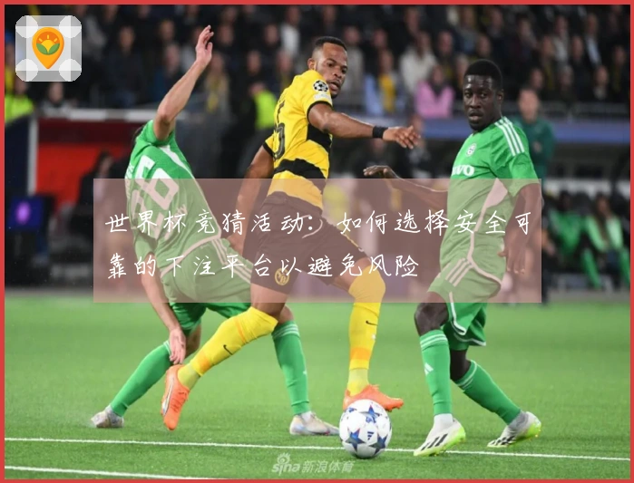 世界杯竞猜活动：如何选择安全可靠的下注平台以避免风险