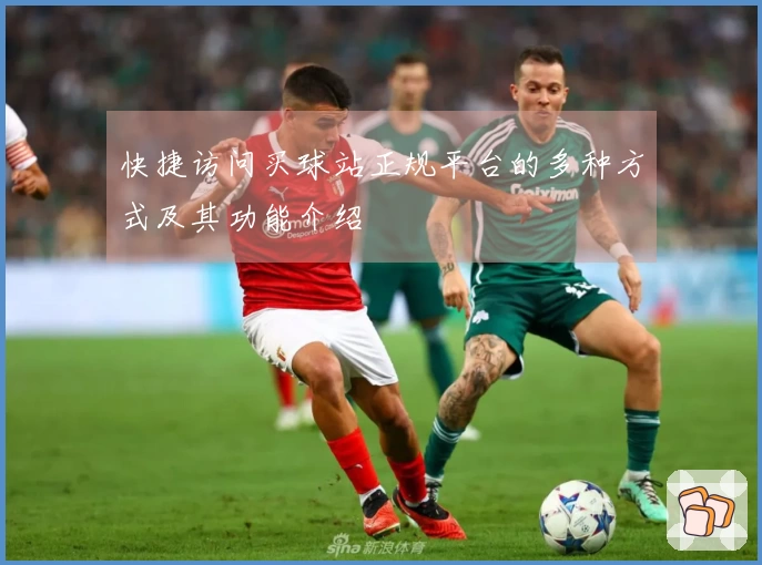 快捷访问买球站正规平台的多种方式及其功能介绍