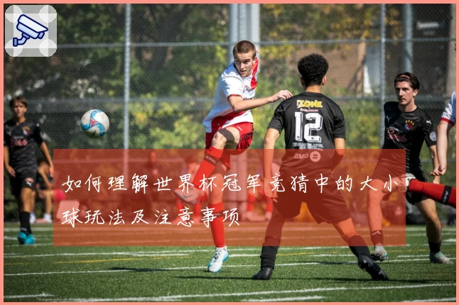 如何理解世界杯冠军竞猜中的大小球玩法及注意事项