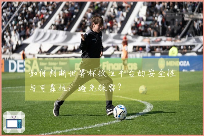 如何判断世界杯投注平台的安全性与可靠性，避免踩雷？